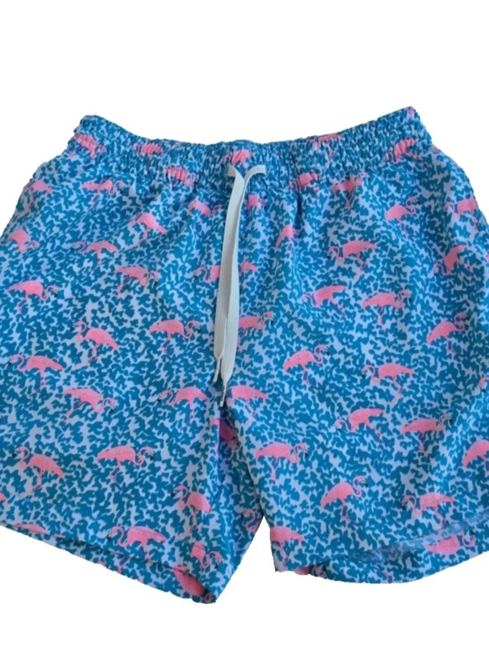 Chubbies Mens Classic 5.5